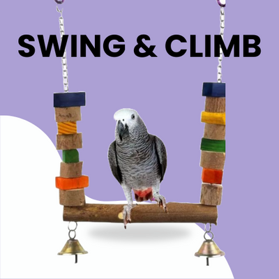 SWING & CLIMB