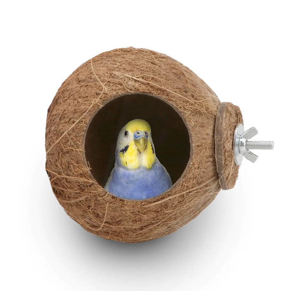 EcoTrend Coconut Shell Birdhouse